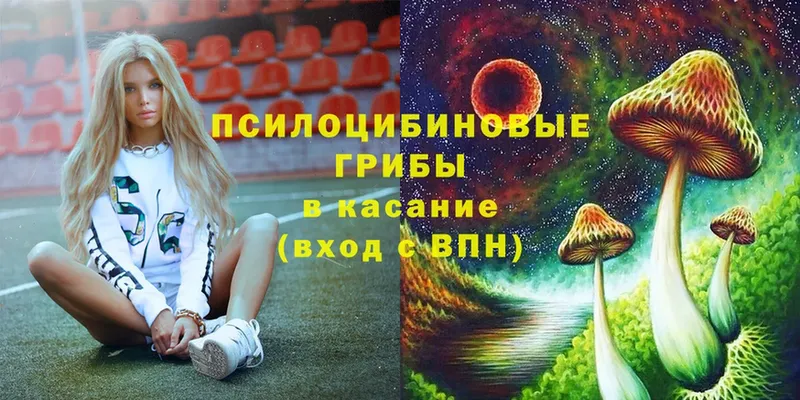 Галлюциногенные грибы Magic Shrooms  цены   Борисоглебск 